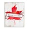 Stupell Industries True North Maple Leaf Framed Giclee, design by Lil' Rue